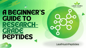 Read more about the article A Beginner’s Guide to Research-Grade Peptides